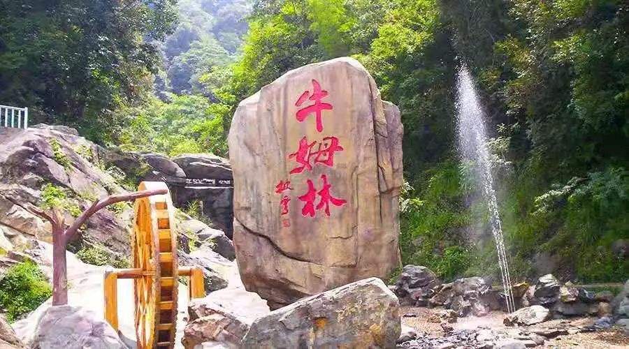 永春縣翻譯公司專業可蓋章資質齊全