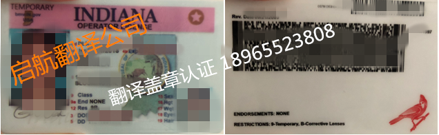 美國indiana operator license印第安納州駕照翻譯
